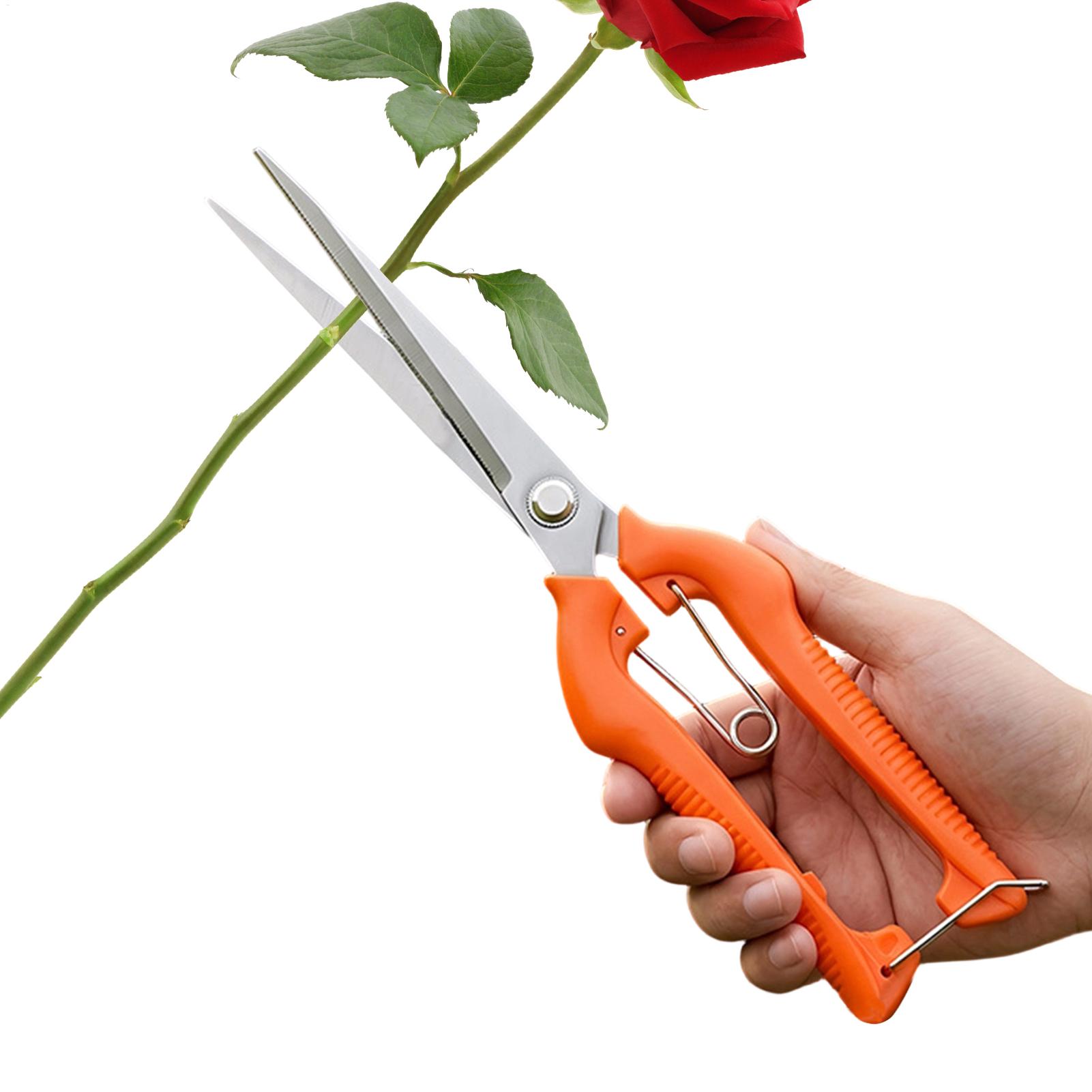 Gardening Tools For Beginners - 剪定鋏 葡萄鋏 園芸工具 野菜畑 盆栽 プロ仕様