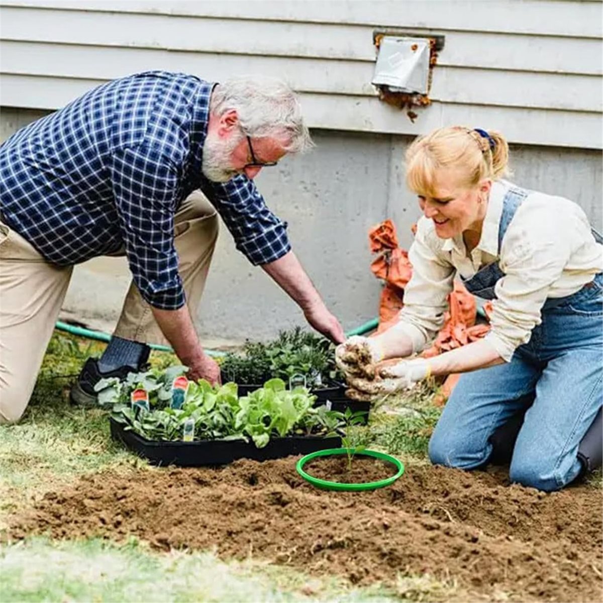Gardening Tools Big - 根の水やりや雑草対策に最適な植物保護リング4個セット、永久的な庭園保護ツール、植物成長用永久カラー（大特価）