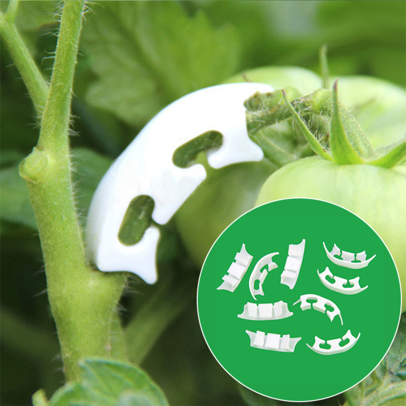 Gardening Tools Bundle - さまざまな茎を持つ保持クリップ,庭の植物を固定するためのバックル留めツール,50/100個