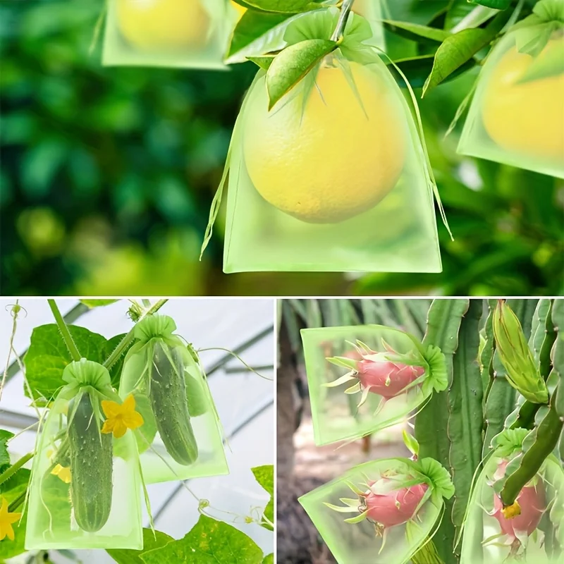 100個入り グリーン保護バッグ ジッパー付き、果樹用、植物 - Grow Bags のレビューと価格