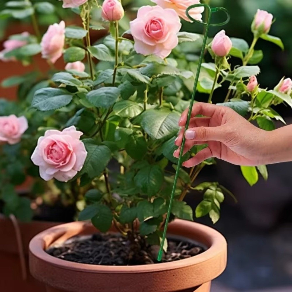 新しい金属製サポートフレーム落下防止再利用可能なガーデンブラ - Gardening Tools For Beginners のレビューと価格