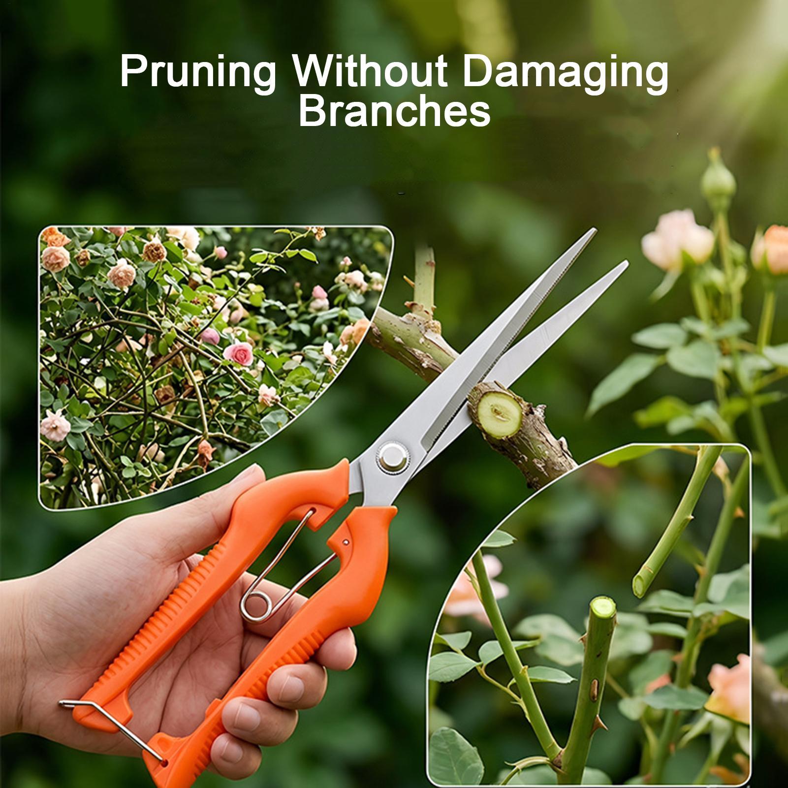 剪定鋏 葡萄鋏 園芸工具 野菜畑 盆栽 プロ仕様 ステンレス - Gardening Tools For Beginners のレビューと価格