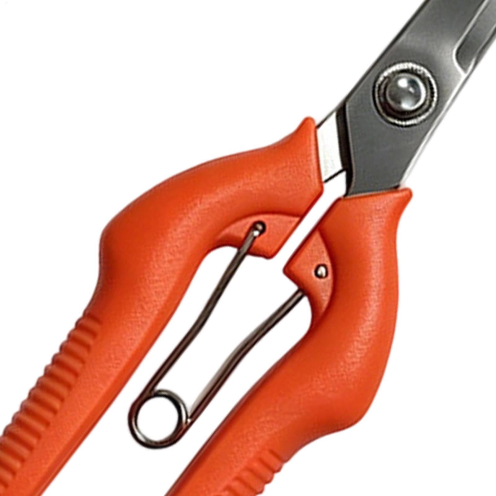 剪定鋏 葡萄鋏 園芸工具 野菜畑 盆栽 プロ仕様 ステンレス - Gardening Tools For Beginners のレビューと価格