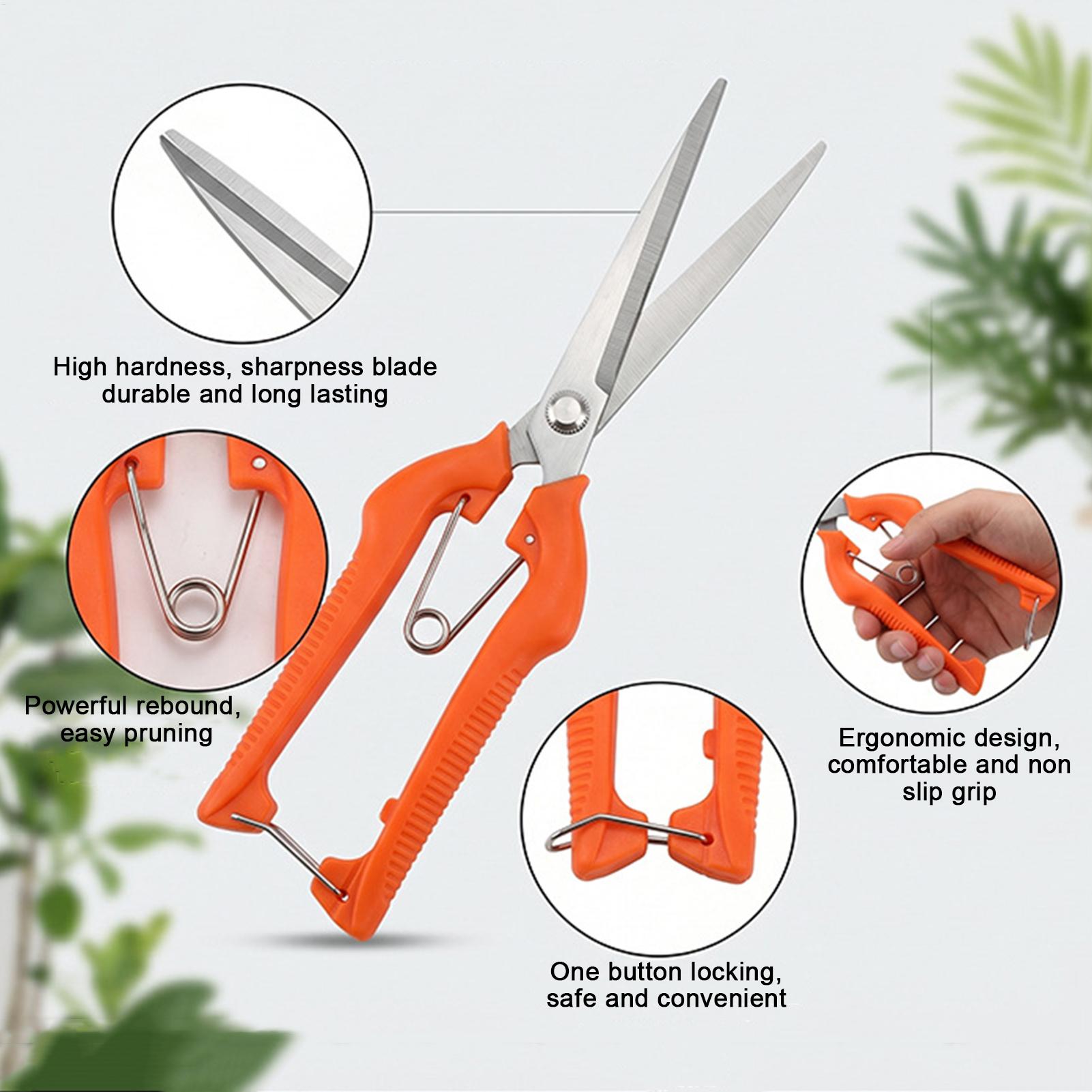 剪定鋏 葡萄鋏 園芸工具 野菜畑 盆栽 プロ仕様 ステンレス - Gardening Tools For Beginners のレビューと価格