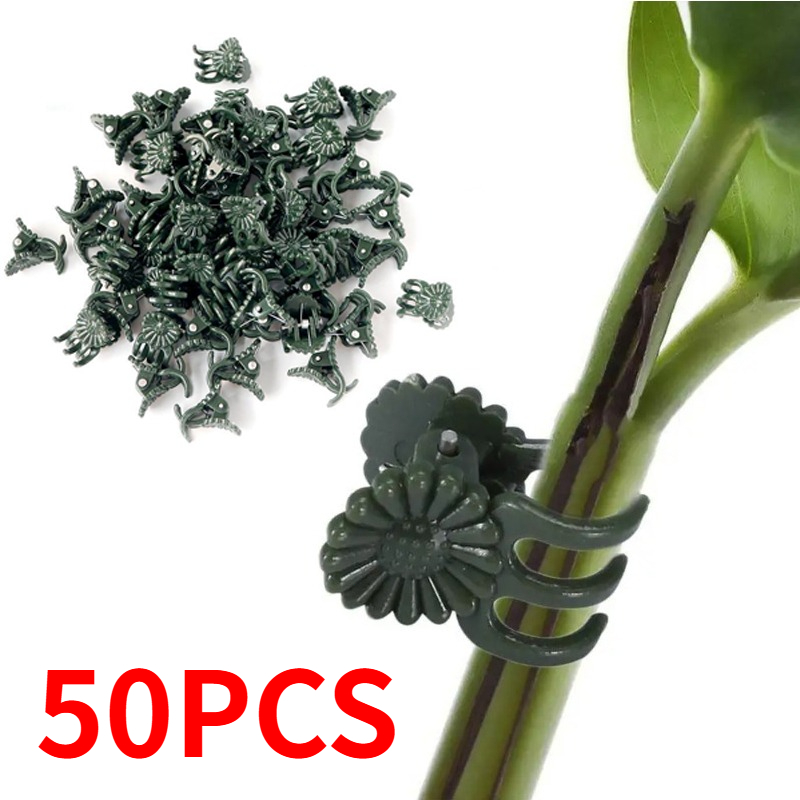 50個入り 5本爪 ダークグリーン 植物クリップ 蘭の花サポ - Gardening Tools Bundle のレビューと価格