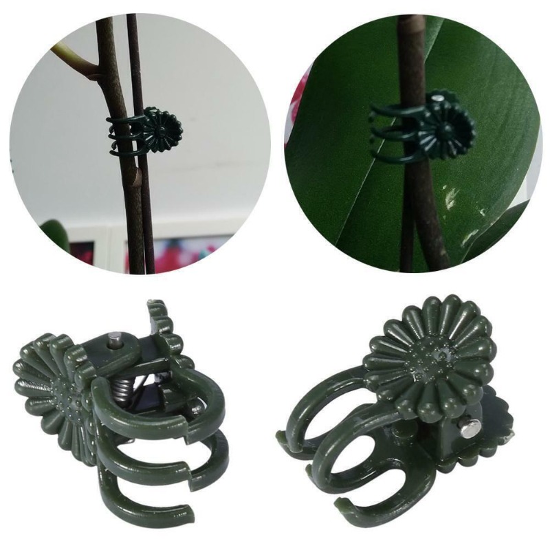 50個入り 5本爪 ダークグリーン 植物クリップ 蘭の花サポ - Gardening Tools Bundle のレビューと価格