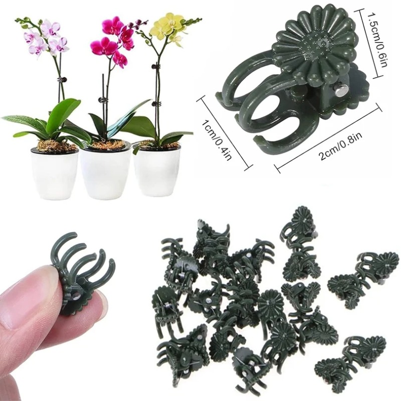50個入り 5本爪 ダークグリーン 植物クリップ 蘭の花サポ - Gardening Tools Bundle のレビューと価格