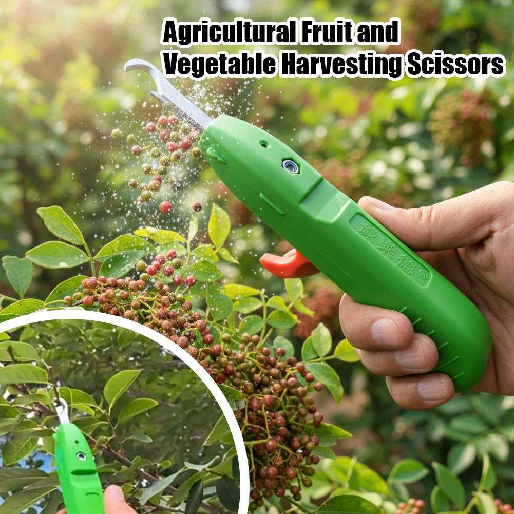 果物と野菜の収穫用剪定鋏、庭用剪定ばさみ、曲刃収穫ツール、ブ - Gardening Tools Hand のレビューと価格