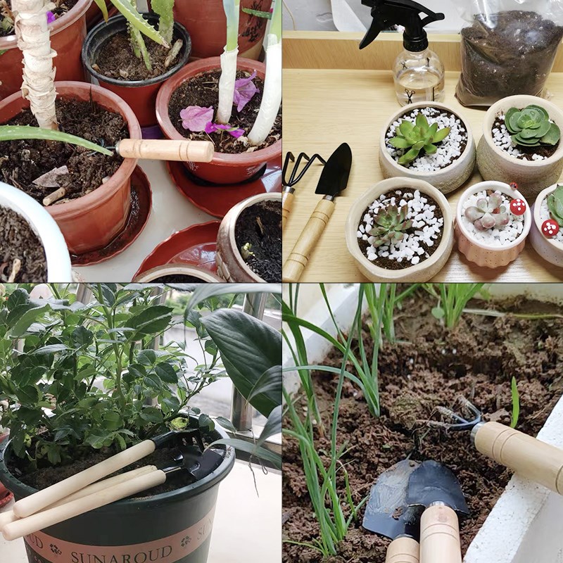 3PC/1 セットミニガーデニングツールセットポータブル小型 - Gardening Tools Bundle のレビューと価格