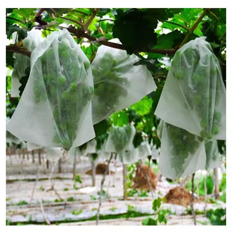 50 個の庭用果物保護袋ブドウ用メッシュバッグ昆虫害虫鳥防止 - Grow Bags のレビューと価格