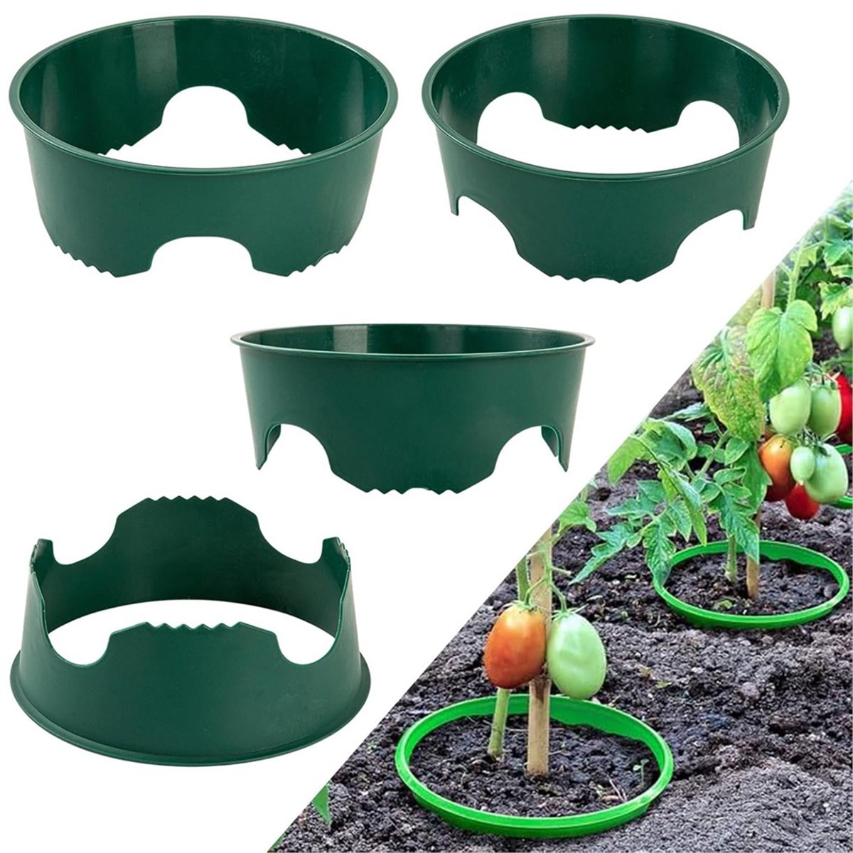 根の水やりや雑草対策に最適な植物保護リング4個セット、永久的 - Gardening Tools Big のレビューと価格
