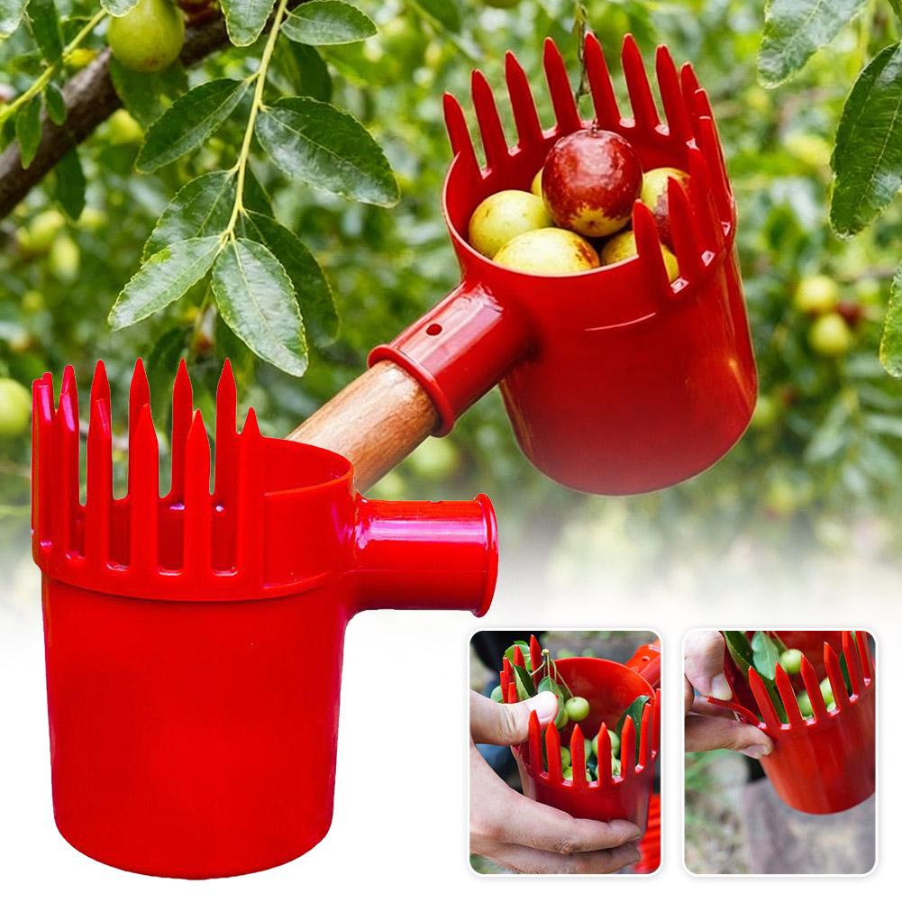 フルーツピッカーツールポータブルバスケットヘッド高木収穫機ア - Gardening Tools Rack のレビューと価格