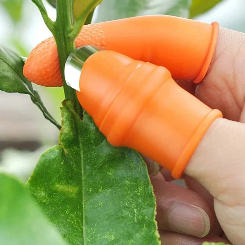親指ナイフ野菜収穫ツール、ピーマン、豆、ニンニク、イチゴの皮 - Gardening Tools Knife のレビューと価格