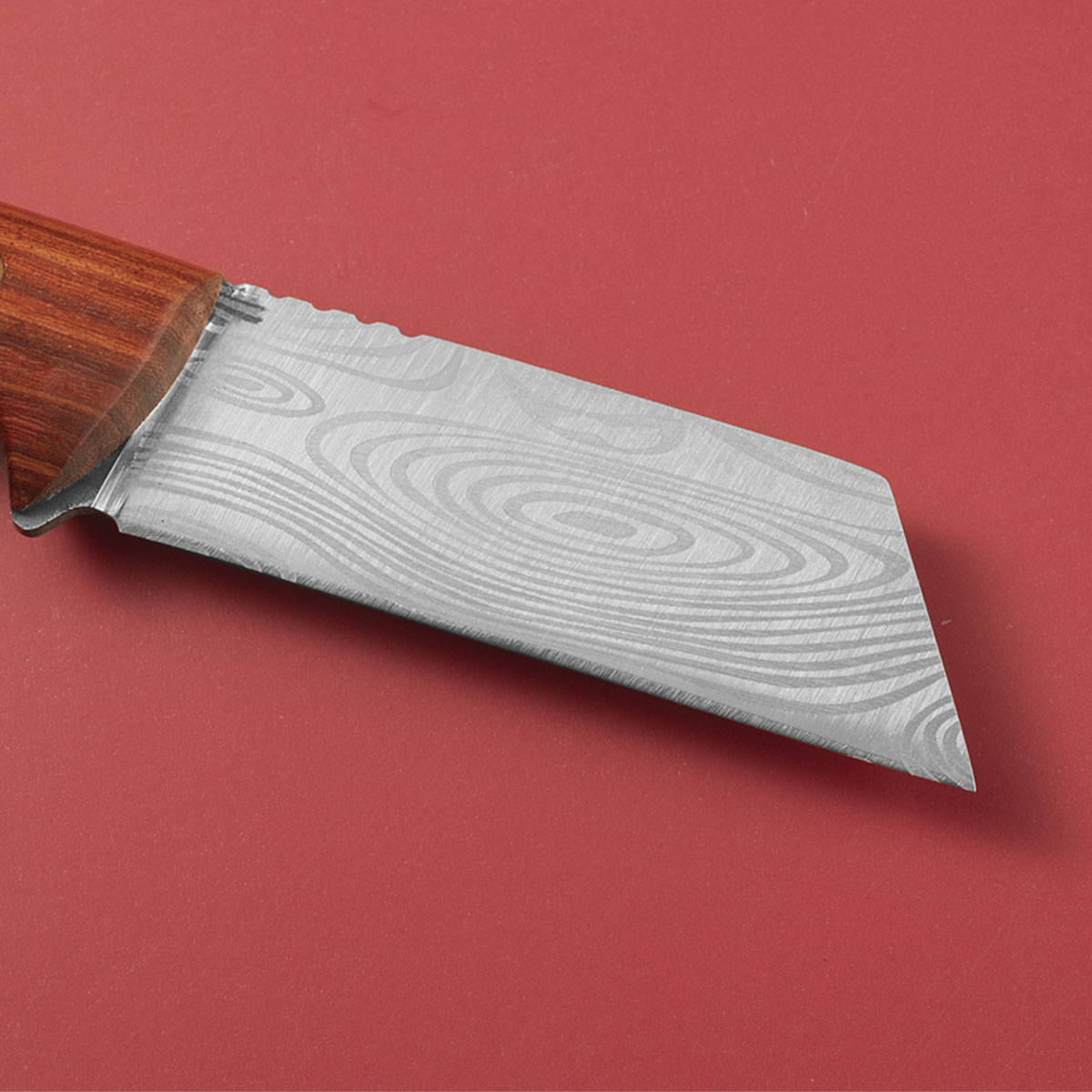 多機能接木ナイフ｜樹皮/芽接ぎ用ステンレス鋼｜果樹手作り園芸 - Gardening Tools Knife のレビューと価格