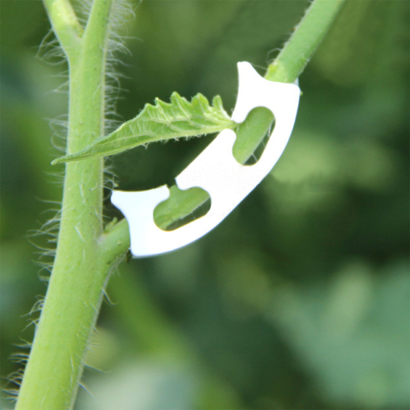さまざまな茎を持つ保持クリップ,庭の植物を固定するためのバッ - Gardening Tools Bundle のレビューと価格