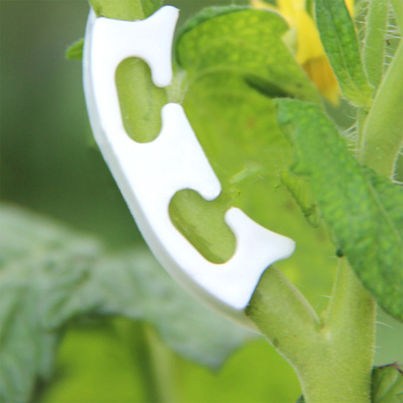 さまざまな茎を持つ保持クリップ,庭の植物を固定するためのバッ - Gardening Tools Bundle のレビューと価格