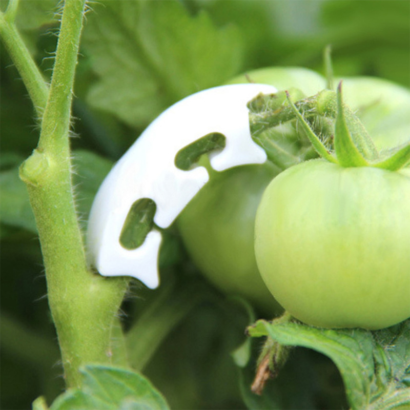 さまざまな茎を持つ保持クリップ,庭の植物を固定するためのバッ - Gardening Tools Bundle のレビューと価格
