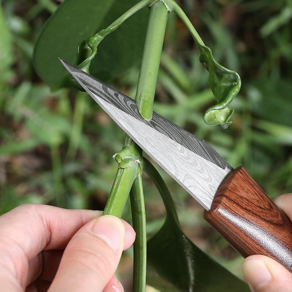 鋭利な接ぎ木用ナイフ、木製ハンドルと革製鞘付き、接木用、耐久 - Gardening Tools Knife のレビューと価格