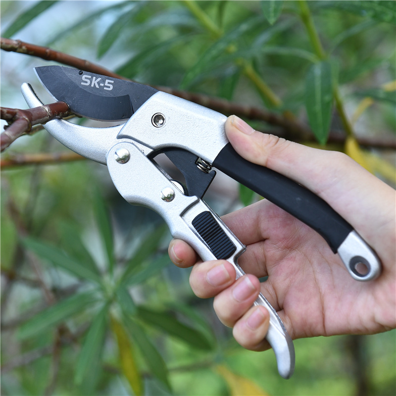 剪定ばさみ,剪定,ラチェット,植物トリム,庭の剪定ツール,新 - Gardening Tools For Beginners のレビューと価格