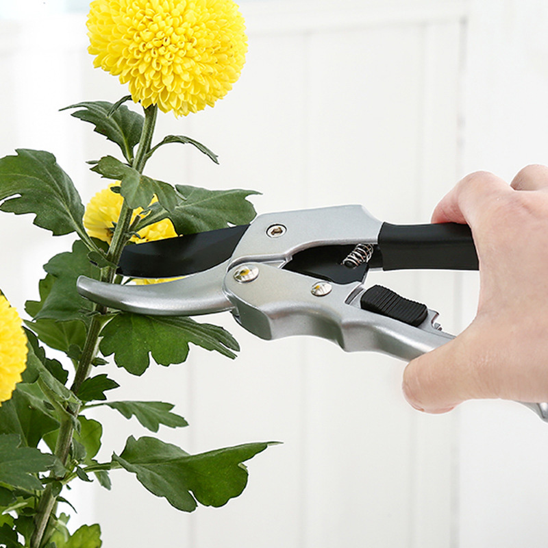 剪定ばさみ,剪定,ラチェット,植物トリム,庭の剪定ツール,新 - Gardening Tools For Beginners のレビューと価格