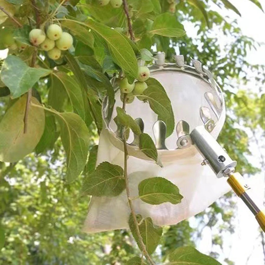 プロのベリーピッカーツール、果物収集ネットバスケット、庭の収 - Gardening Tools Rack のレビューと価格
