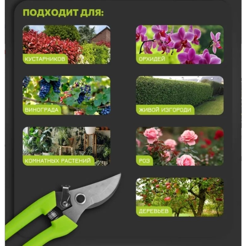 【価格削減】ガーデン用トリマープルーナー 172mm コンパ - Gardening Tools Price のレビューと価格