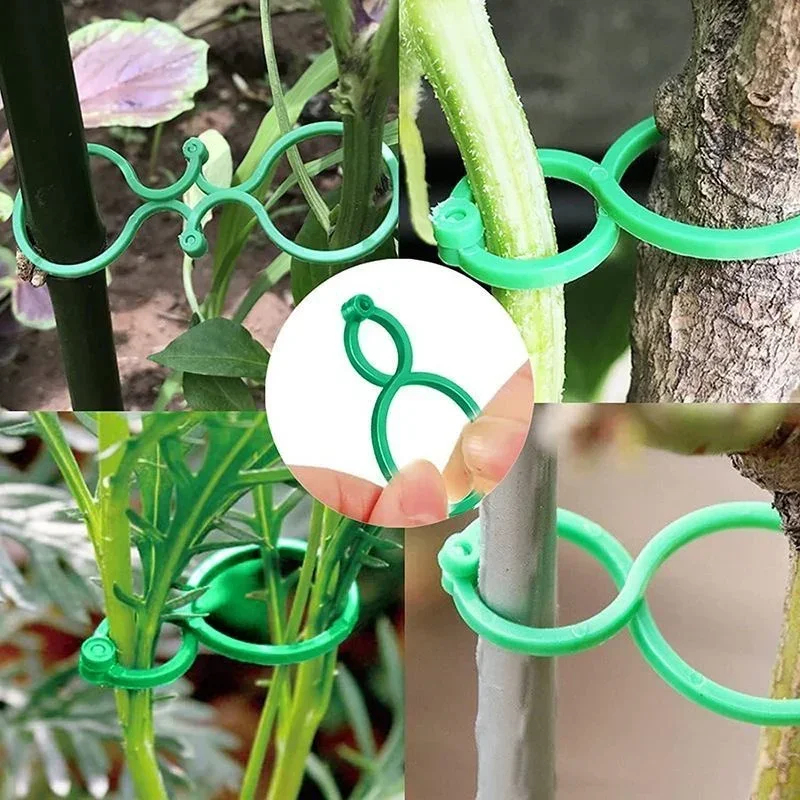 プラスチック製園芸用植物結束クリップ、植物結束バックルリング - Gardening Tools Bundle のレビューと価格