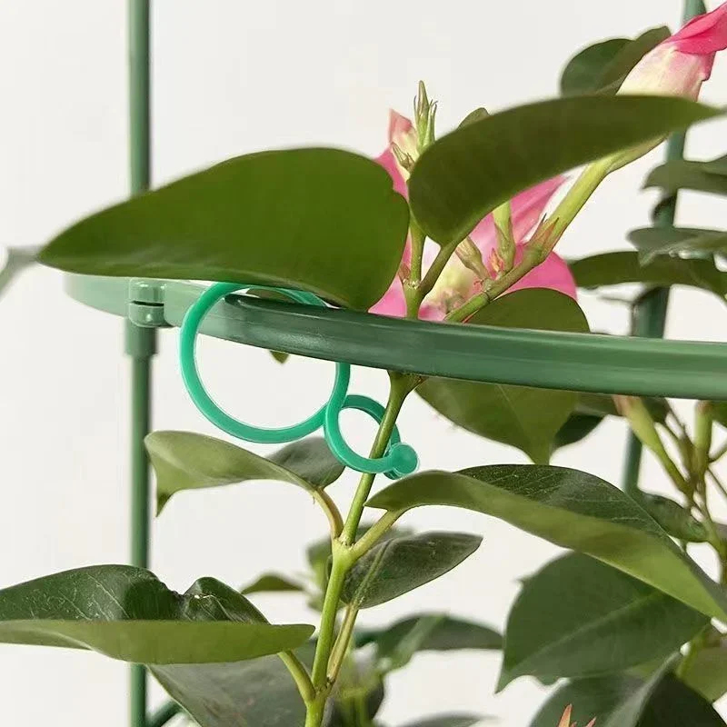プラスチック製園芸用植物結束クリップ、植物結束バックルリング - Gardening Tools Bundle のレビューと価格