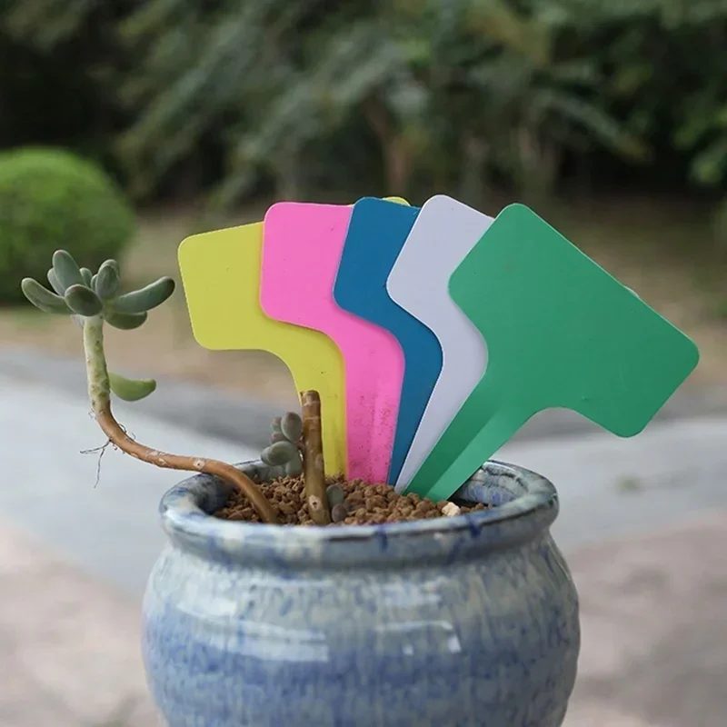 20 個プラスチック防水植物名札ストリップライン園芸ラベル標 - Gardening Tools Names のレビューと価格
