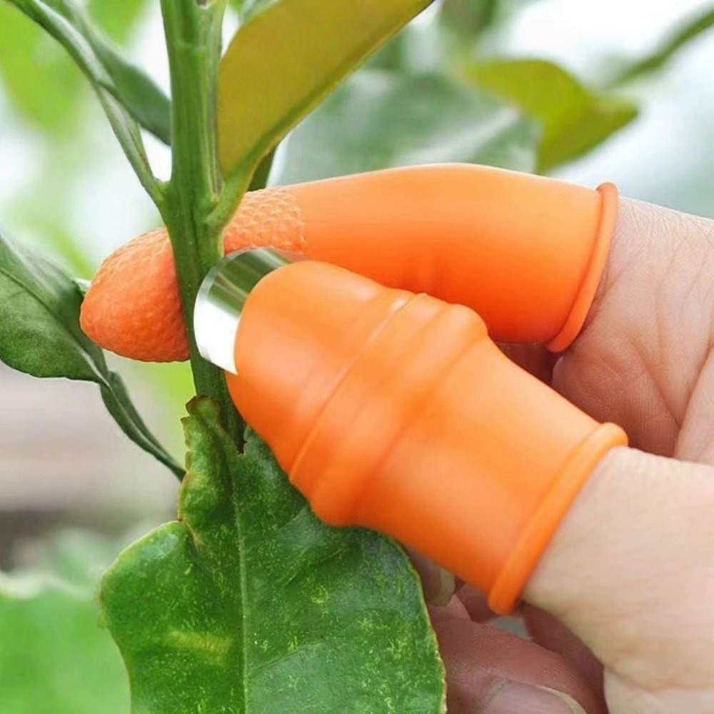 野菜摘み取り用ステンレス製親指ナイフ 快適なフィット感 ナイ - Gardening Tools Knife のレビューと価格