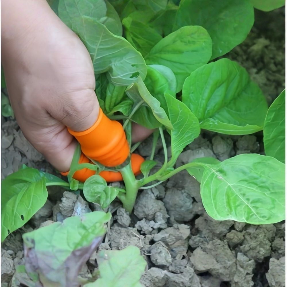 野菜摘み取り用ステンレス製親指ナイフ 快適なフィット感 ナイ - Gardening Tools Knife のレビューと価格