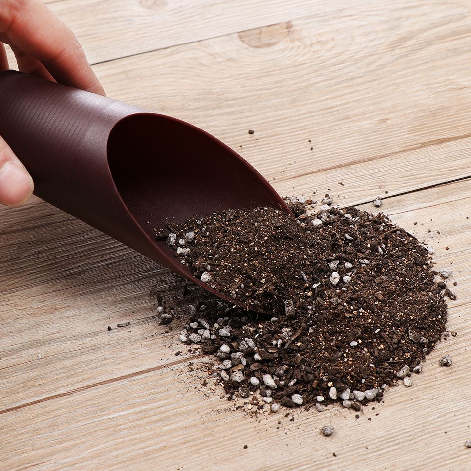 プラスチック製の庭の手入れ用の芝生の形をしたポーチ,植物が付 - Gardening Tools Hand のレビューと価格